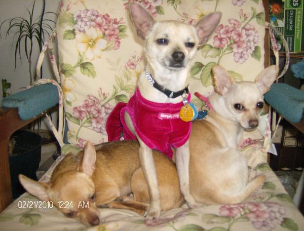 /Images/uploads/Humane Society of Utah/HSUCalendar/entries/971thumb.jpg